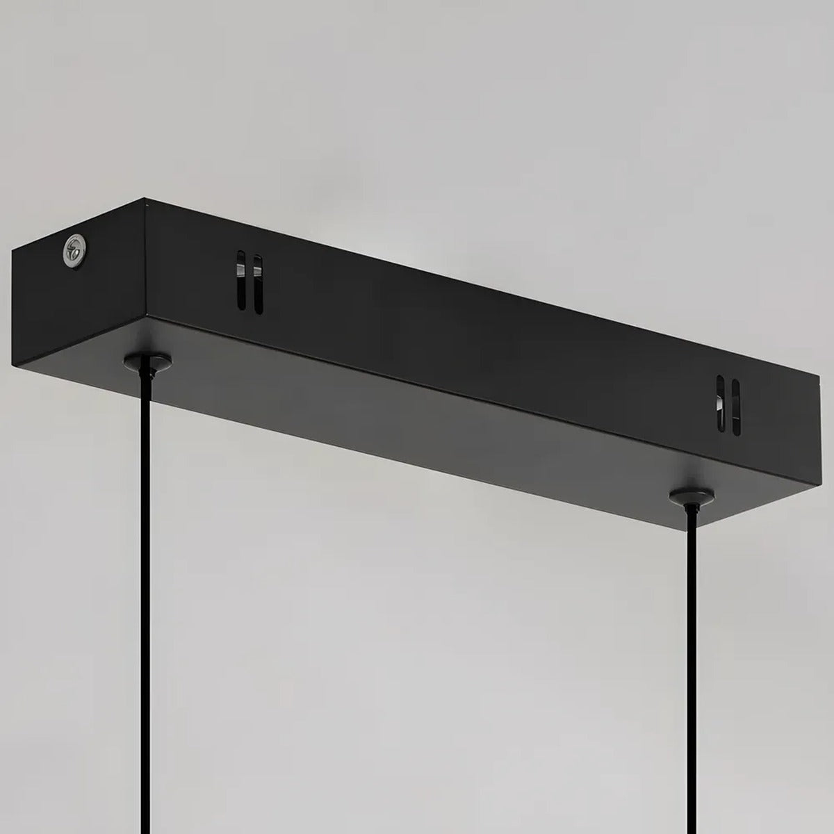 Slim black ceiling canopy and suspension wires of the Elio pendant light