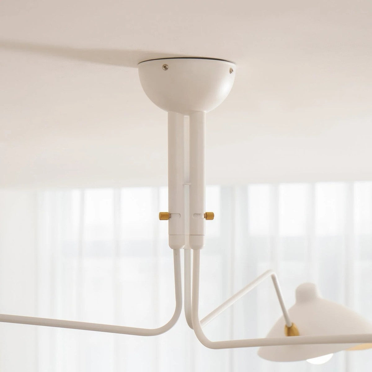 Corella white ceiling canopy detail