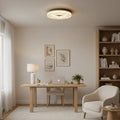 Satin Acrylic Disc Flush Mount — Tricolor Modern Halo Style | SATIN™