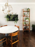 Golden Glass Globe Cluster Chandelier — Modern 6-Head Style | AMAS™