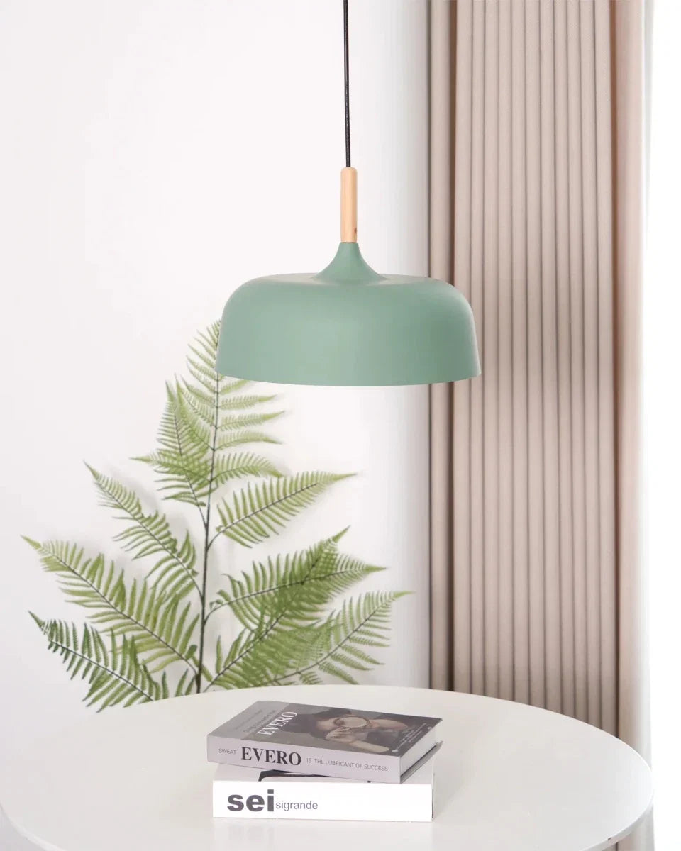 Iron & Wood Disc Pendant — Colorful Nordic Contemporary Style | PALET™