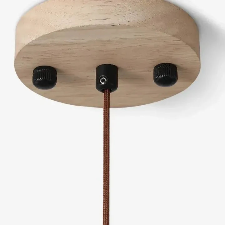 Light wood ceiling canopy and brown cord detail