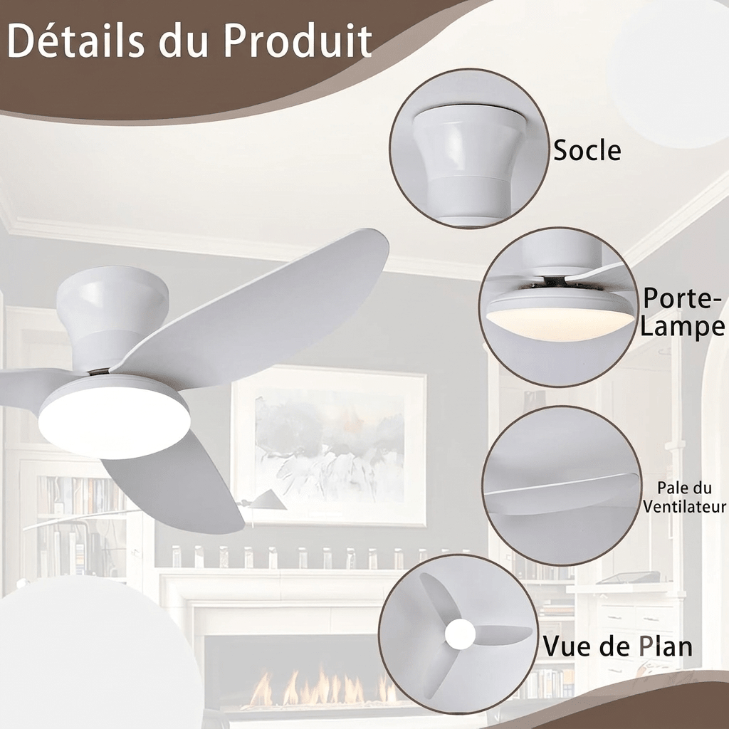Silent DC Ceiling Fan with LED Light — 2-in-1 Dimmable Style | BRISE™